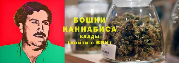 твердый Ладушкин