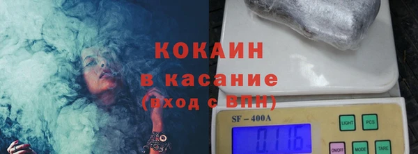твердый Ладушкин