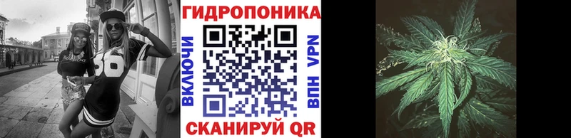 наркошоп  Полярные Зори  kraken зеркало  Канабис семена 